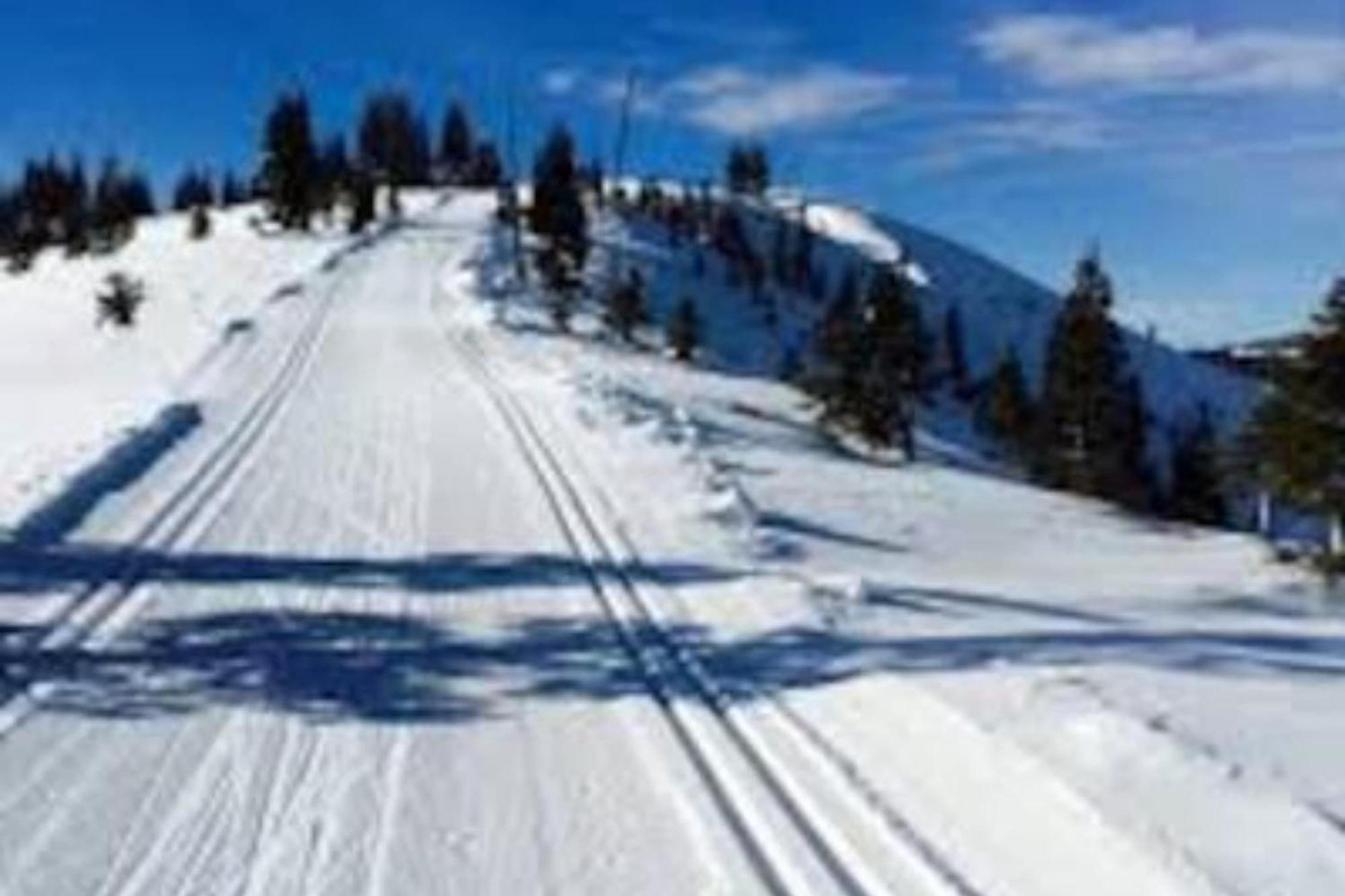 Moosetrack By Avantstay Cozy Cabin In The Of Tahoe Donner W Hot Tub Truckee Εξωτερικό φωτογραφία